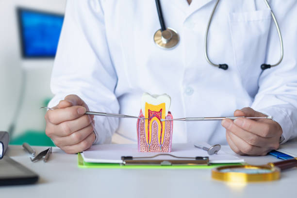 Best Holiday Emergency Dentist in Mount Vernon, VA